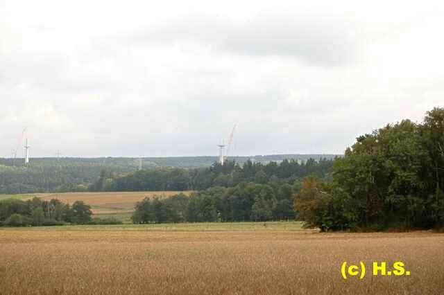 155.jpg