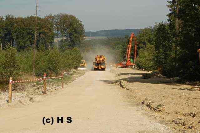 235.jpg