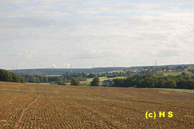 249.jpg