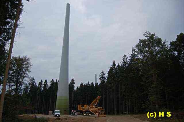 334.jpg