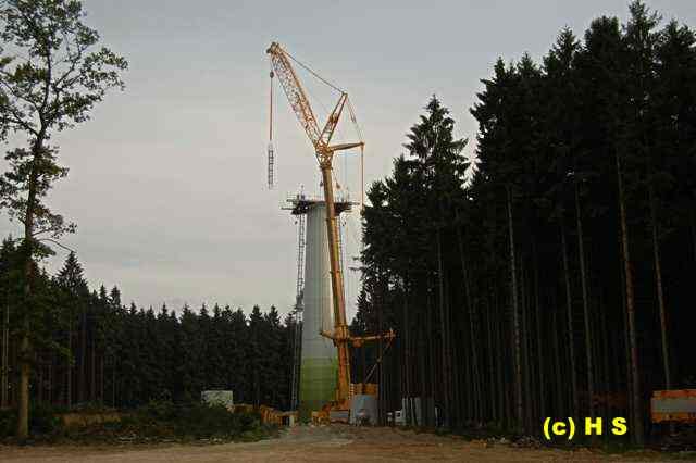 374.jpg