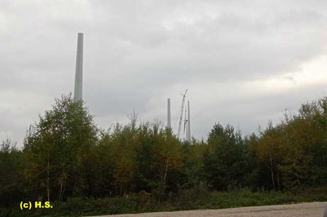 396.jpg