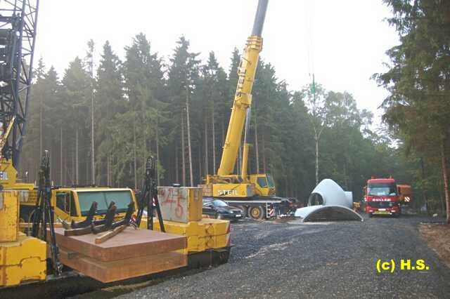 403.jpg