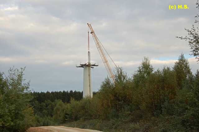 407.jpg