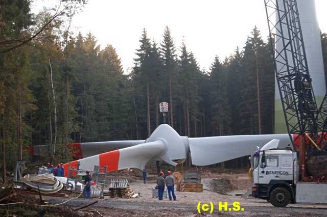 544.jpg