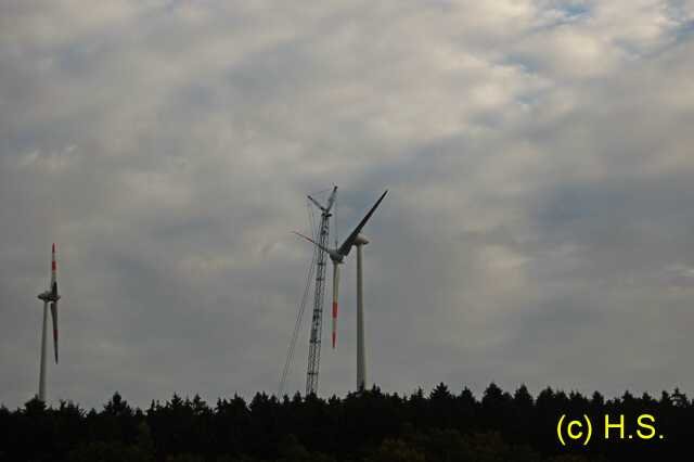 554.jpg