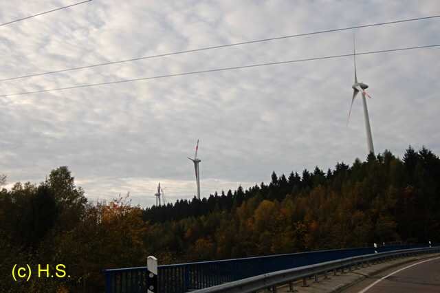 557.jpg