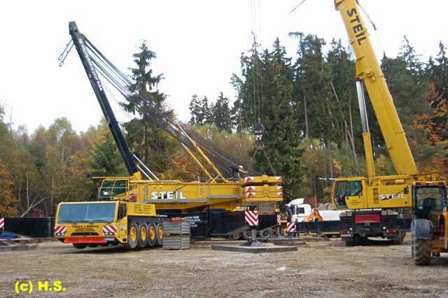561.jpg