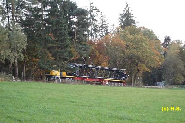 563.jpg