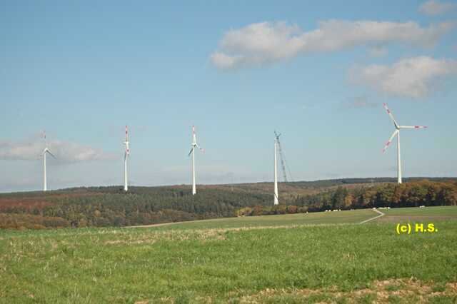 567.jpg