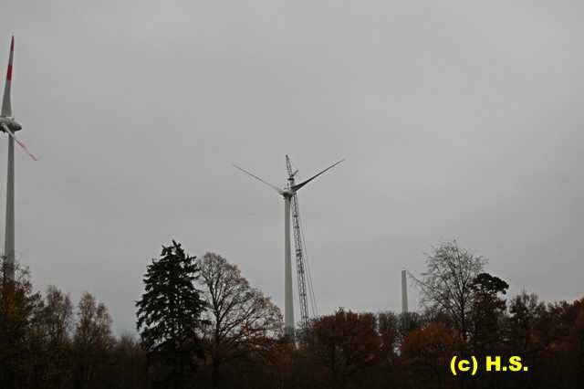 669.jpg