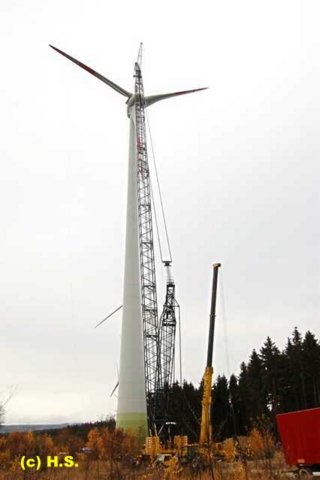 675.jpg