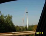 224.jpg