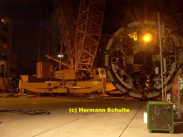 o_7397.jpg